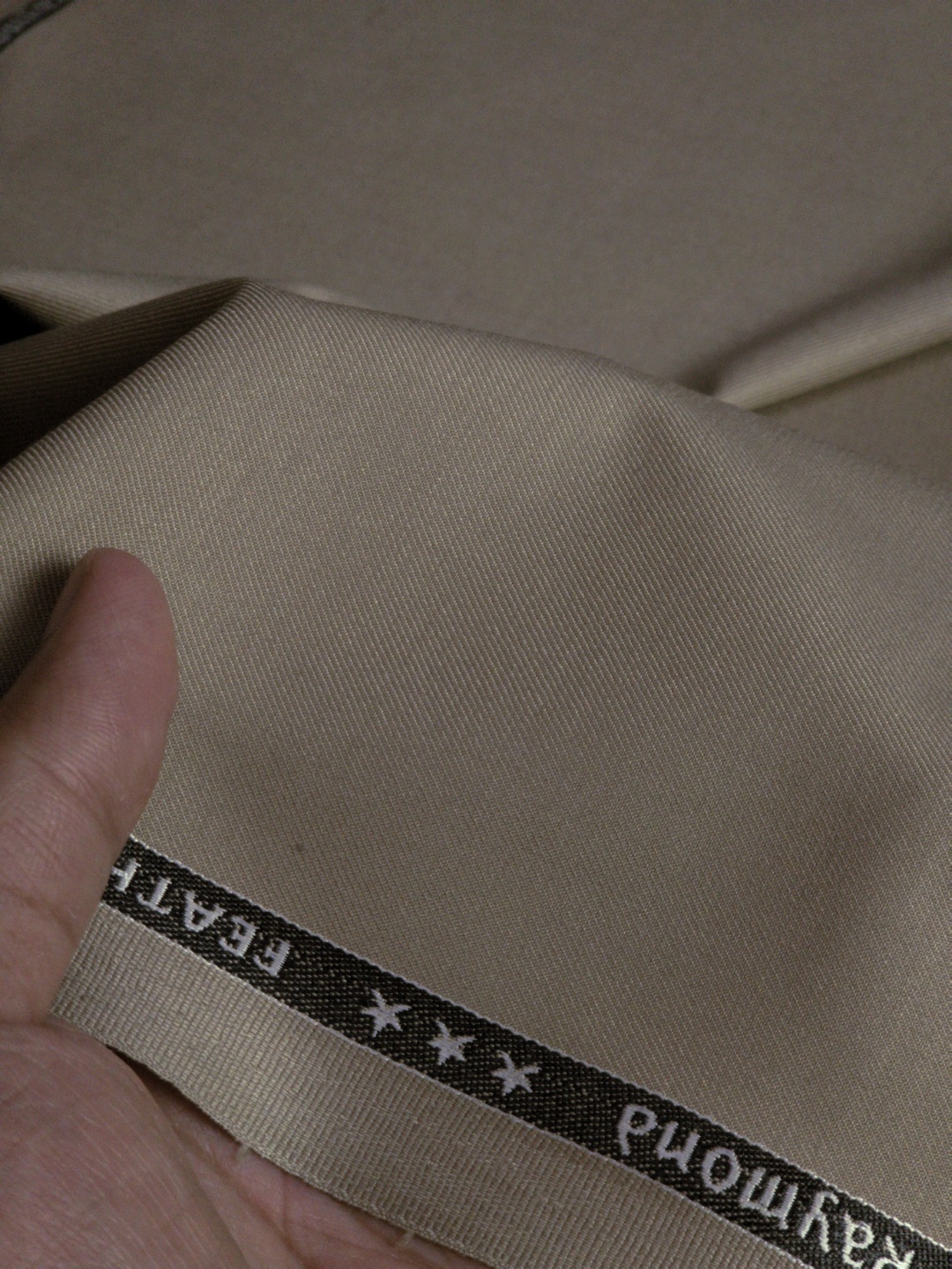 Raymond Men's Solids Polyester Viscose Suiting Fabric (Champagne Beige) - Image 3